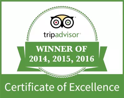 Certificate-of-Excellence